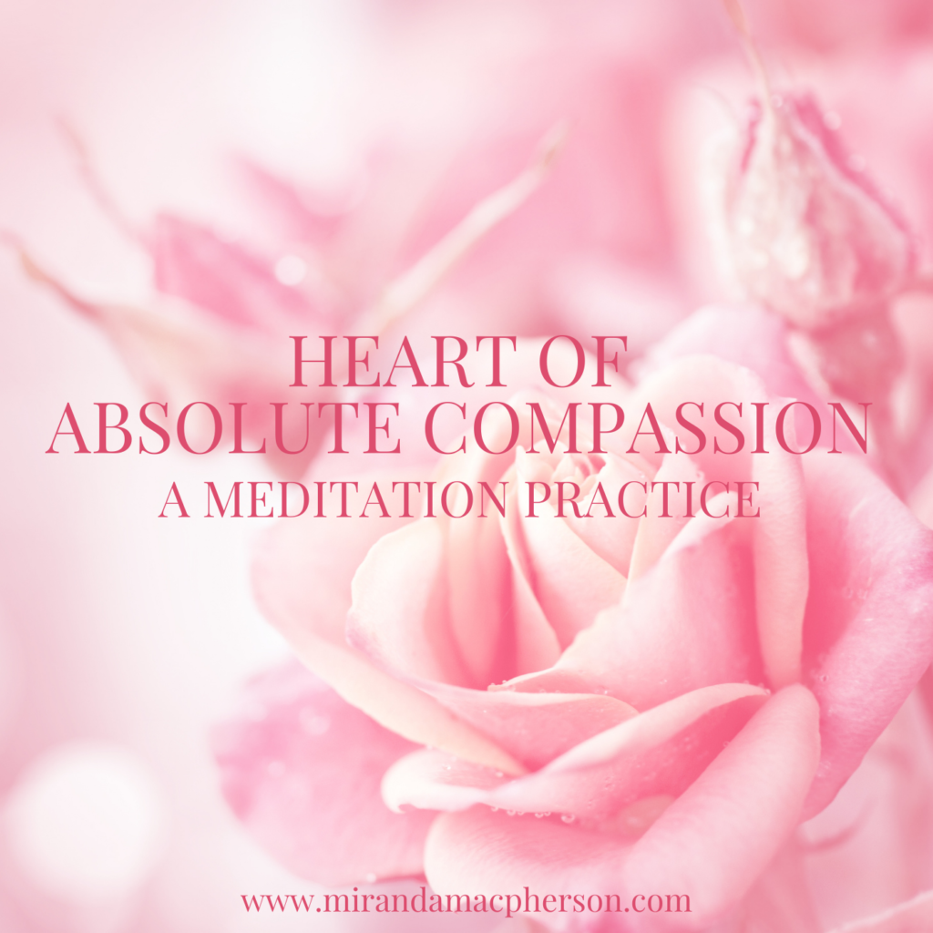 Heart of Absolute Compassion a downloadable guided meditation by spiritual teacher Miranda Macpherson